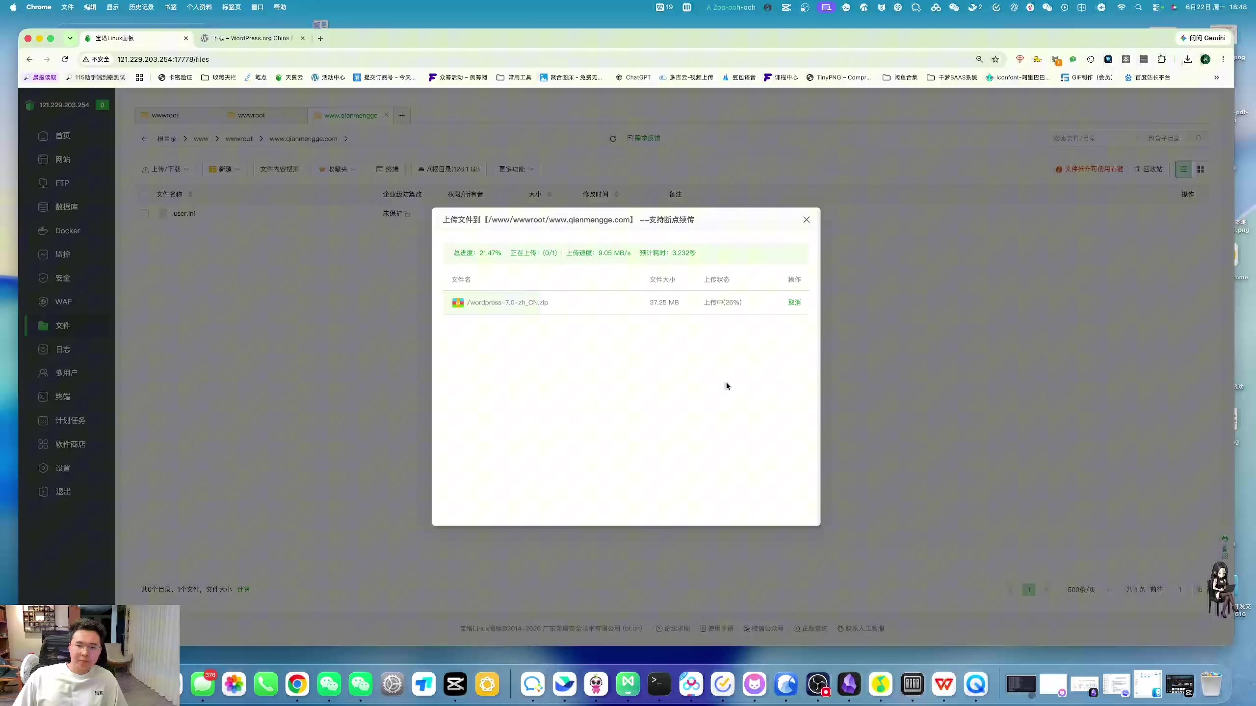 WordPress建站需要写代码吗?小白怎么选插图2 AI辅助开发WordPress插件